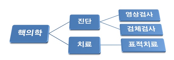 핵의학